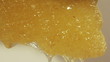 Honeycomb Filled with Honey