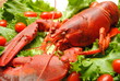 Lobster with Salad Veggies