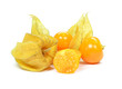 physalis fruit on a white background