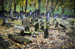 Old graves at historic Jewish cemetery in Warsaw, Poland