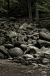 Foto: Felsenmeer in Lautertal im Odenwald Felsenmeer in Lautertal im Odenwald