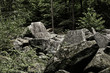 Felsenmeer in Lautertal im Odenwald