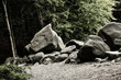 Foto: Felsenmeer in Lautertal im Odenwald Felsenmeer in Lautertal im Odenwald