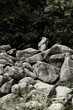 Foto: Felsenmeer in Lautertal im Odenwald Felsenmeer in Lautertal im Odenwald