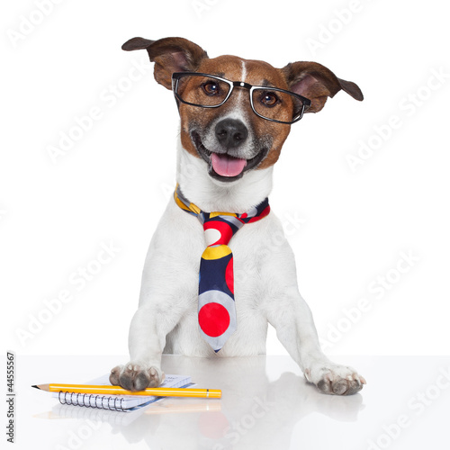 Photo: business dog typewriter business dog typewriter