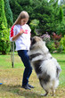 Kind Hund Hundeschule