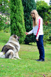 Kind Hund Hundeschule
