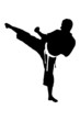 Vector: A silhouette of a karate man exercising A silhouette of a karate man exercising