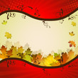 Fall leafs abstract background