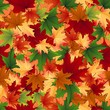 Seamless background of autumnal leaves