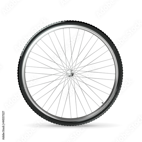 Vector: Bicycle wheel Bicycle wheel