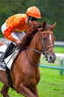 Course hippique, cheval en tête