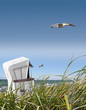 Ostseestrand