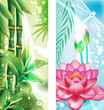 Vector: Vertical banners with bamboo and lotus Vertical banners with bamboo and lotus