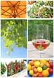 Impressions of the summer