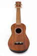 Ukulele