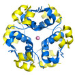 Insulin hexamer