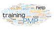 PMP tag cloud