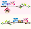 Vector: happy owl family happy owl family