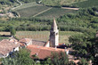 Roofs and vineyards