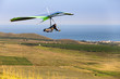 hand gliding up to yellow green meadow near the sea