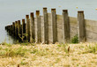 Rough Wooden Groynes
