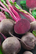 Foto: Beet Beet