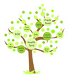 Vektor: eco tree eco tree