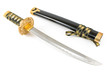 Japanese samurai katana sword