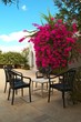 coincafé djerba