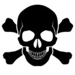 Skull and bones