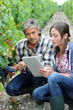 Winemakers in cellar using electronic tablet