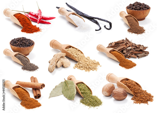 Photo: Spices and herbs isolated on white Spices and herbs isolated on white