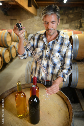 Photo: Winemakers in cellar using electronic tablet Winemakers in cellar using electronic tablet