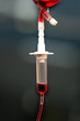 Blood drip