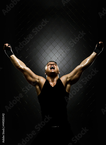 Photo: street fighter street fighter