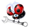 coccinella meccanica