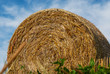 Stroh, Landwirtschaft, Himmel