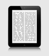 Realistic tablet pc