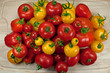 Tomaten - Solanum lycopersicum