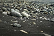rocky beach on acores archipelago
