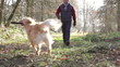 Video: Man walking his dog through woods Man walking his dog through woods