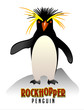 Rockhopper Penguin illustration
