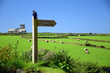 Foto: Fussweg nach Tintagel Fussweg nach Tintagel