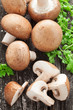Braune Champignons