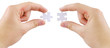 Hands and puzzle, isolated on white background