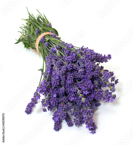 Photo: lavender lavender
