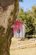 Bird Hox