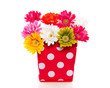A polkadot red vase with silk gerber flowers isolated over white