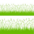 Gräser Grashalme Hintergrund